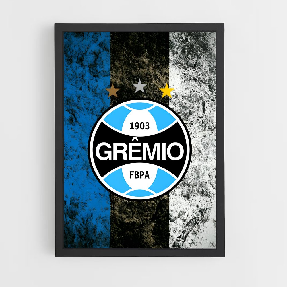ap-gremio fbpa-10 cadre Noir