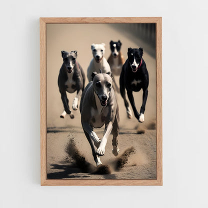 ap-greyhound racing-5 cadre Bois clair