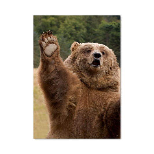 Poster Ours Majestueux