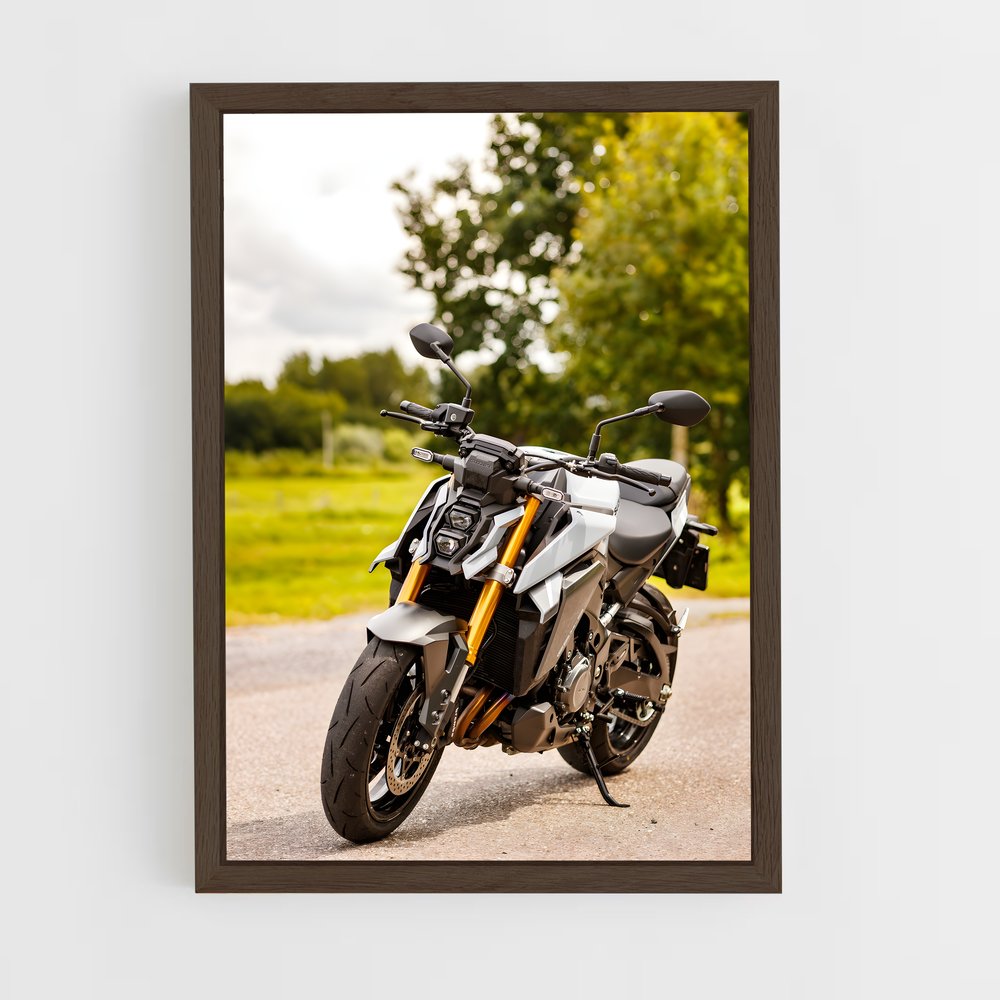 ap-gsx-s1000-2 cadre Bois foncé