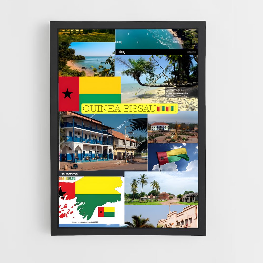 ap-guinea bissau-1 cadre Noir