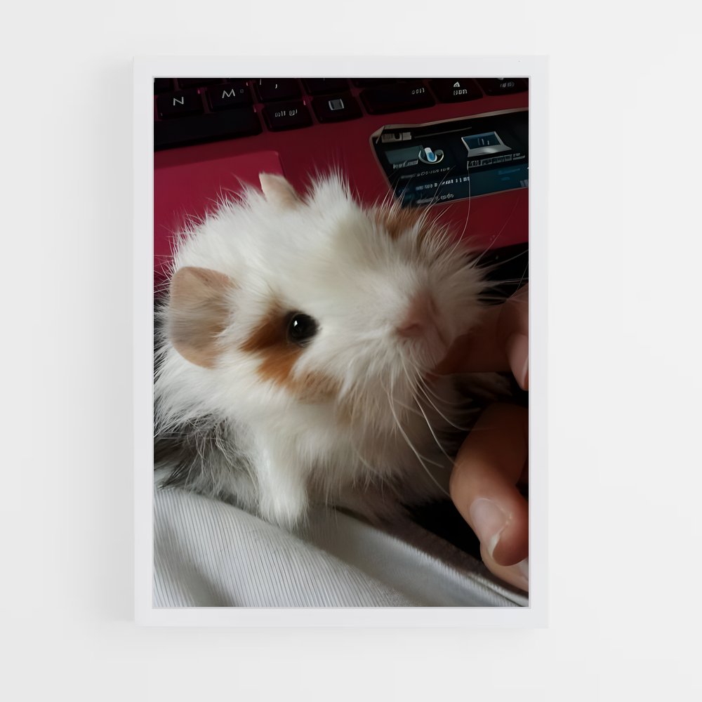 ap-guinea pig-3 cadre Blanc
