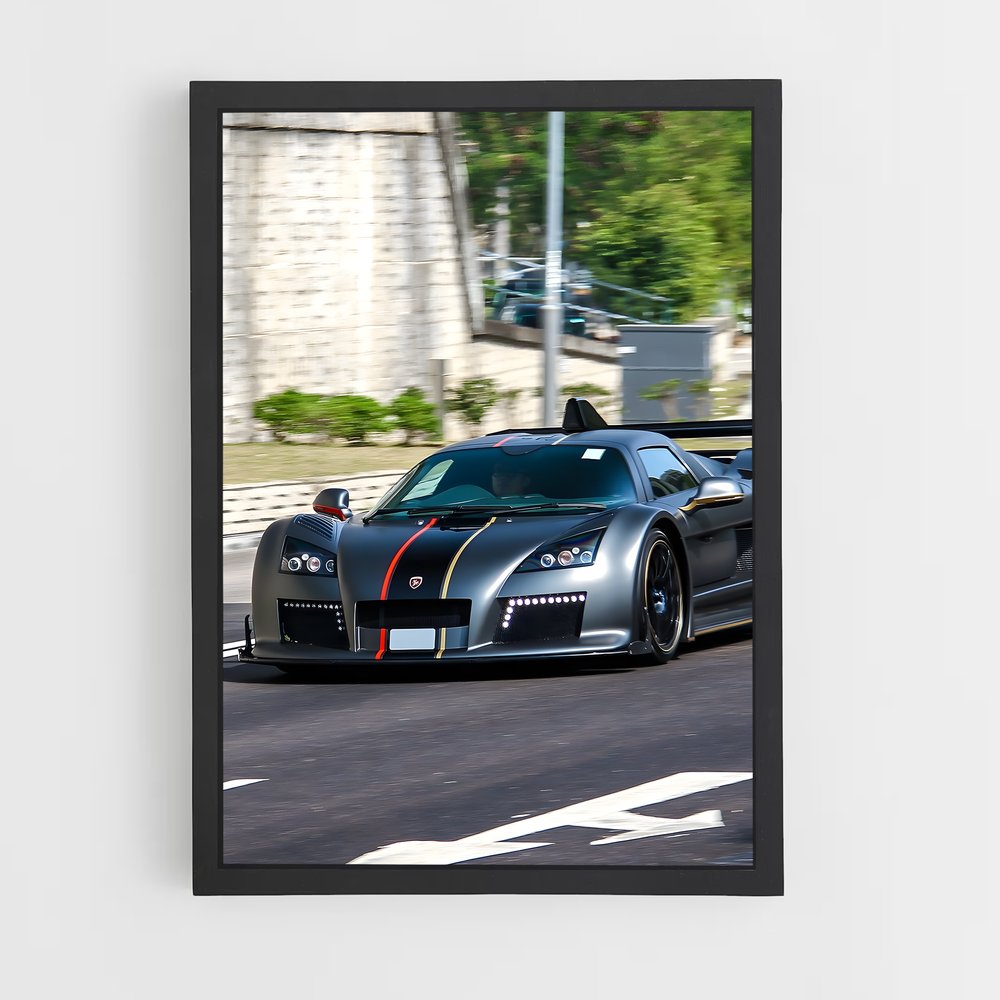 ap-gumpert-3 cadre Noir