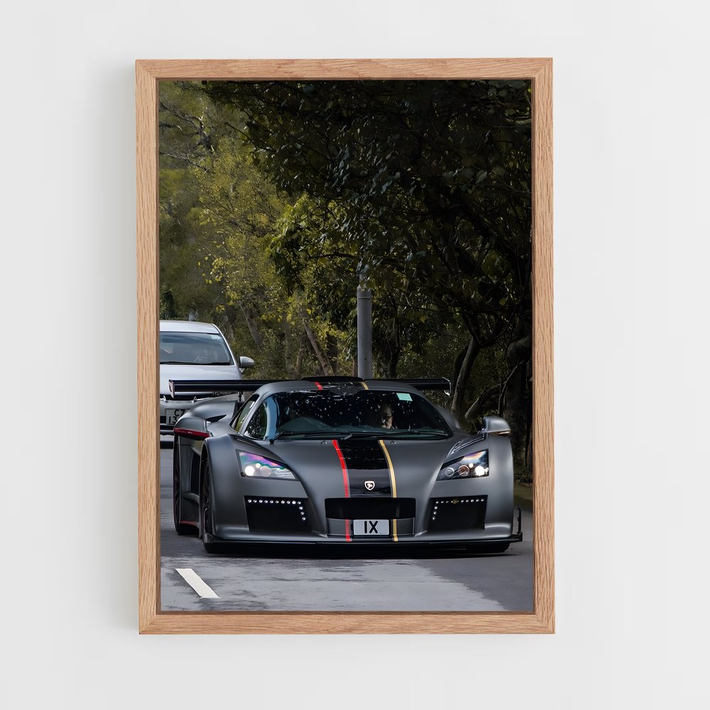 ap-gumpert-5 cadre Bois clair