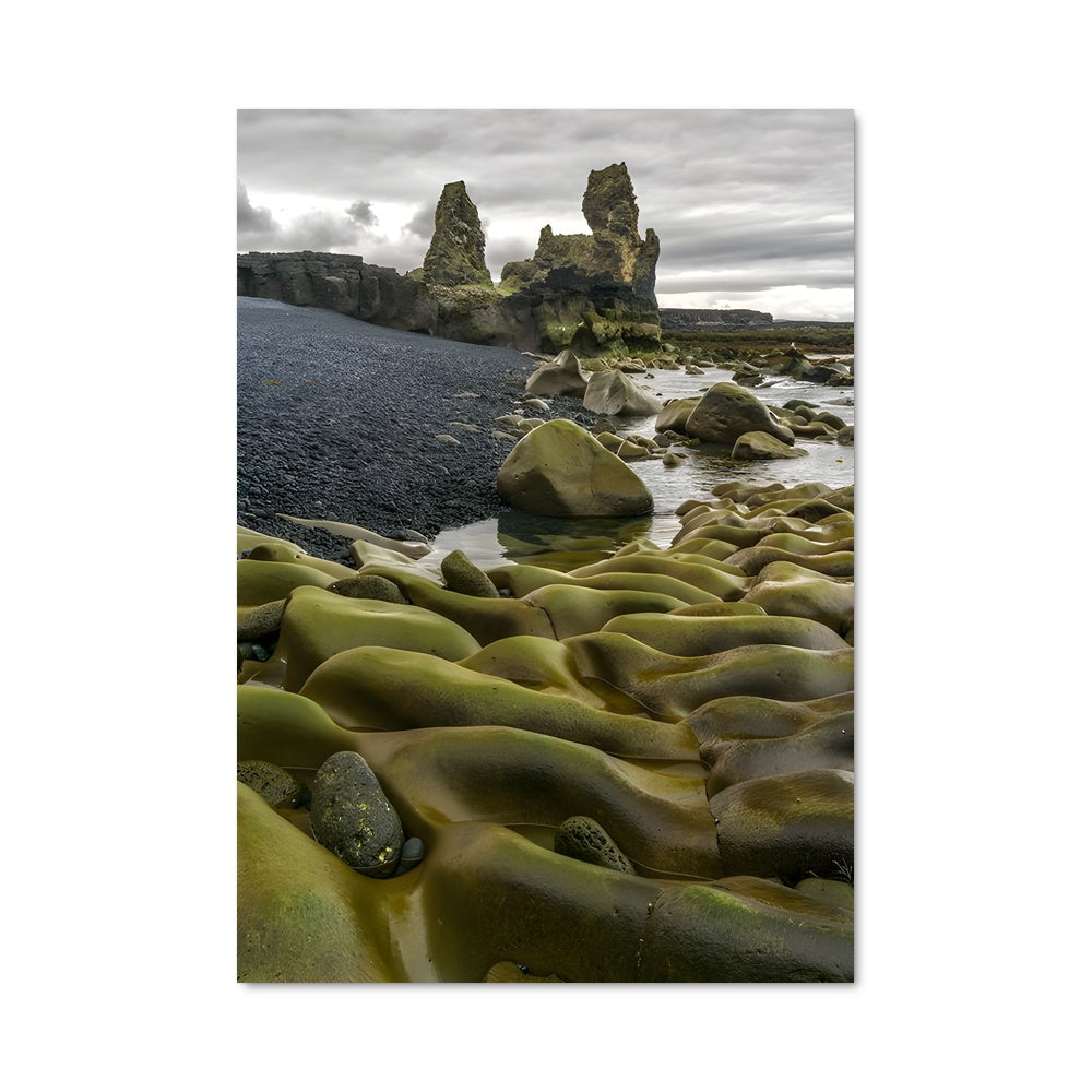 Poster Algue Émeraude