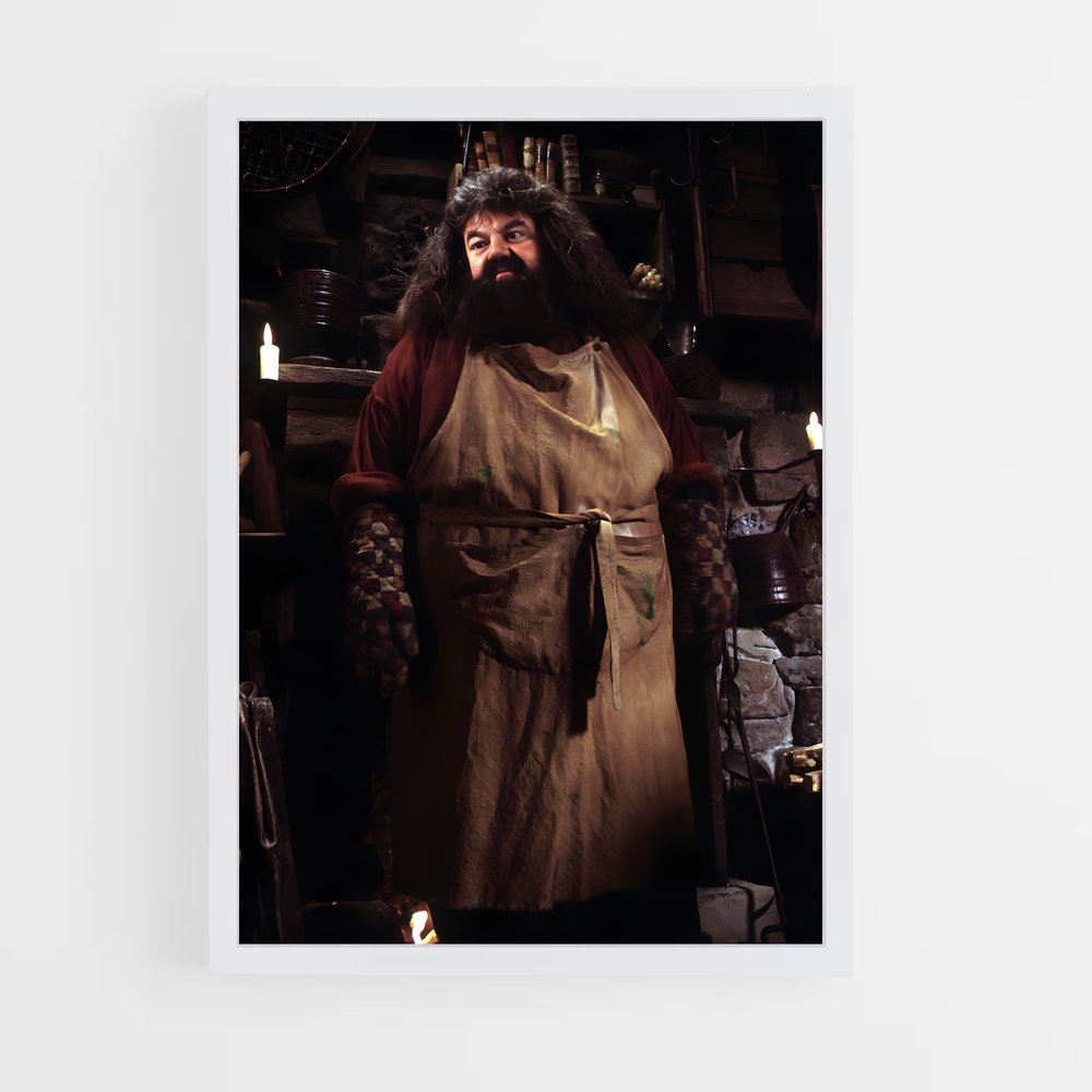 ap-hagrid-3 cadre Blanc