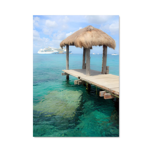 Poster Paradis Aquatique