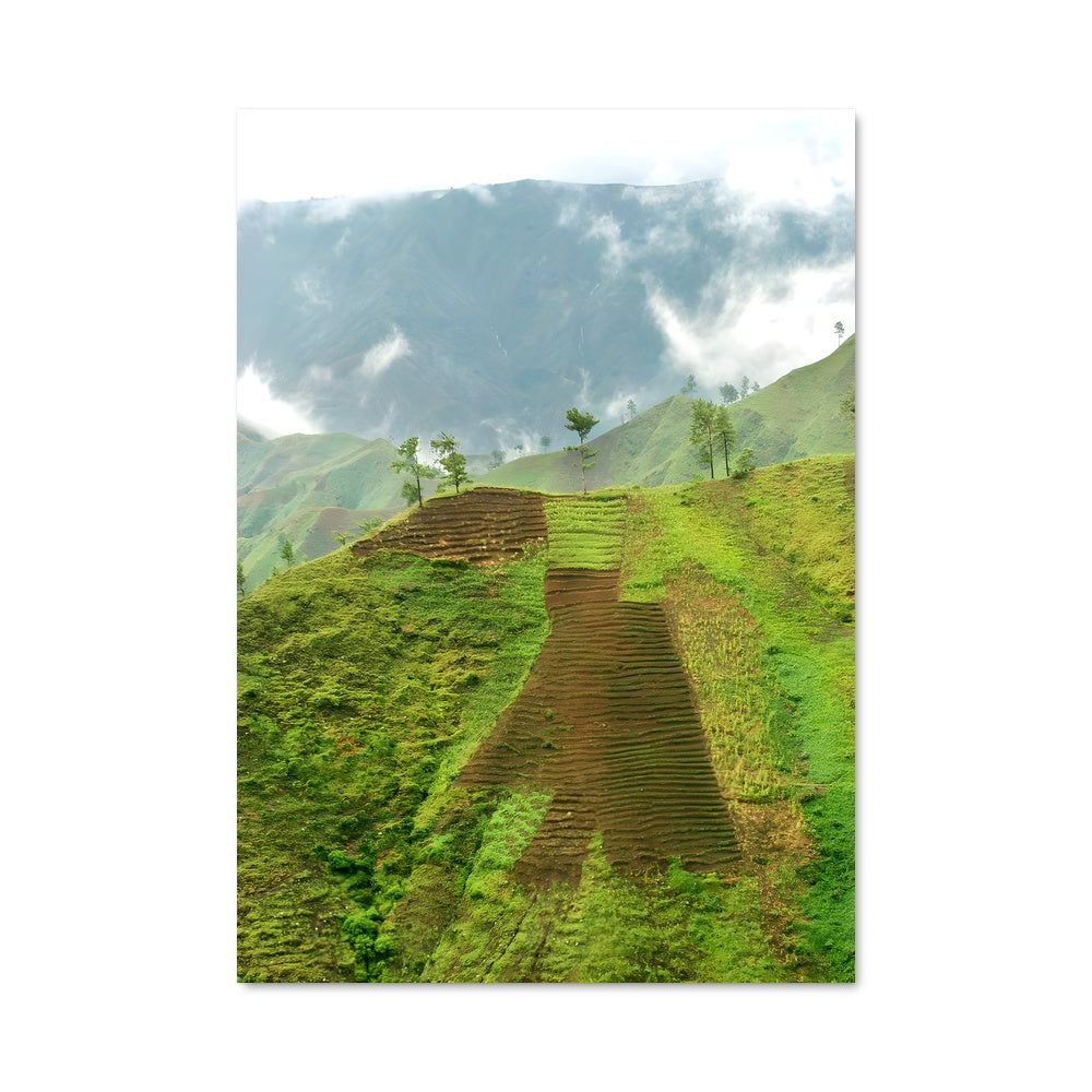 Poster Terres de Rizières