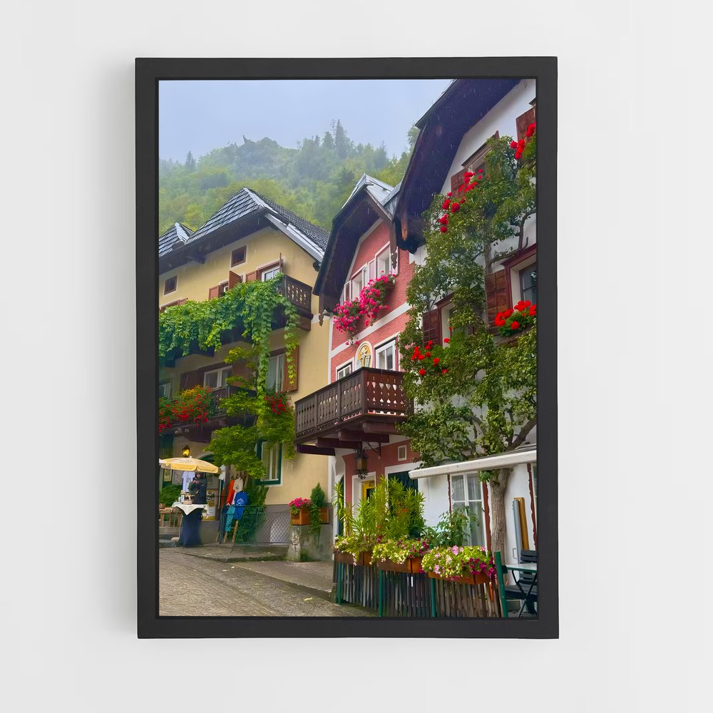 ap-hallstatt-7 cadre Noir