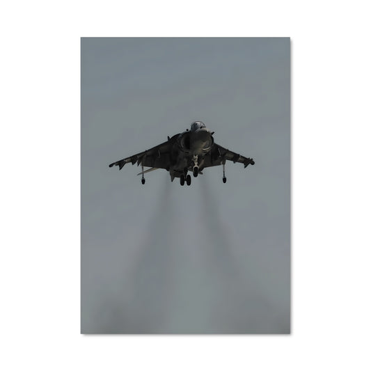 Poster Harrier en Vol