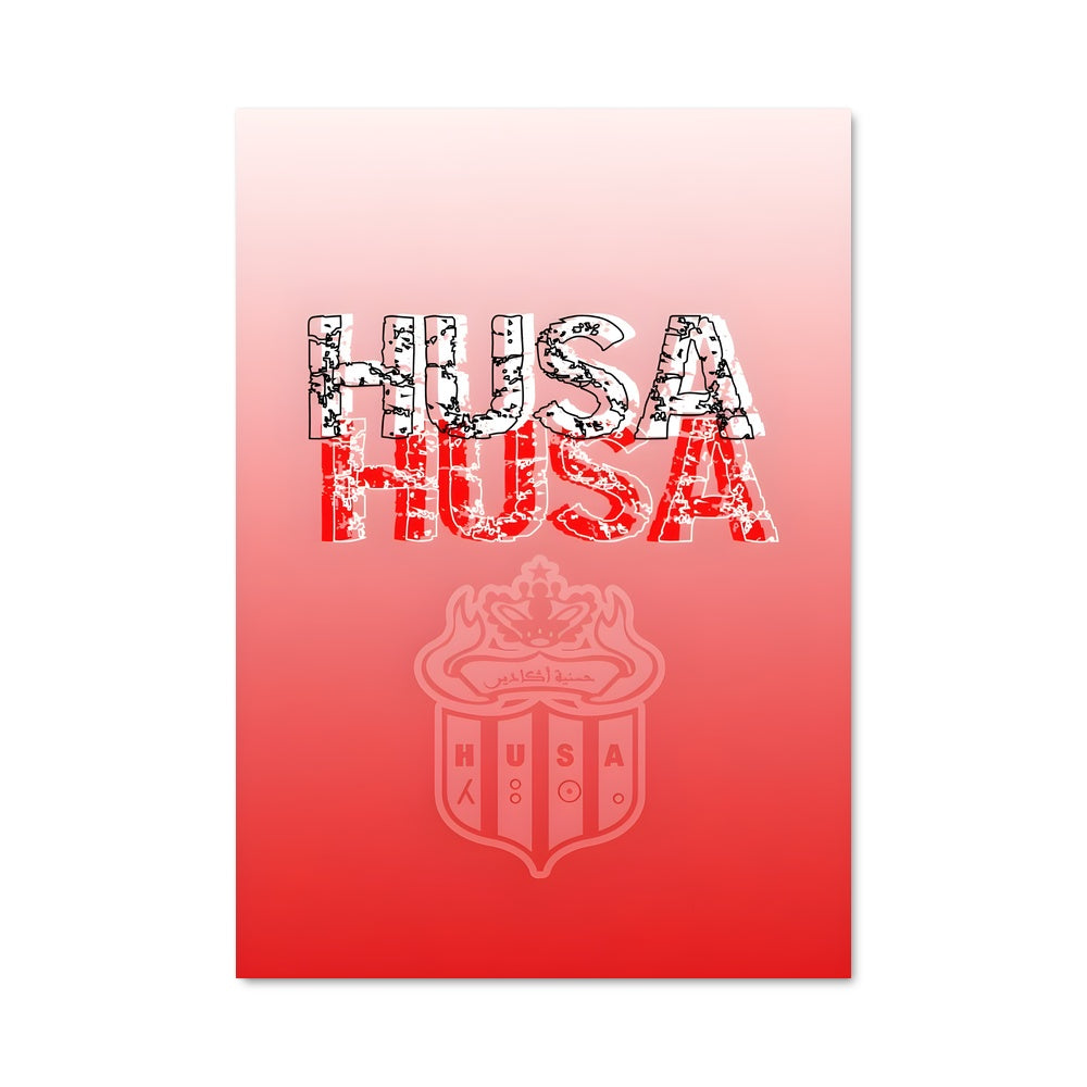 Poster Team USA Spirit