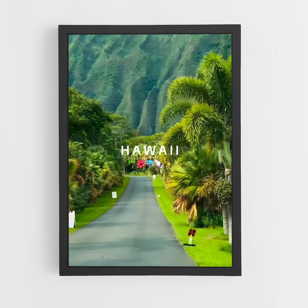 ap-hawaii-8 cadre Noir