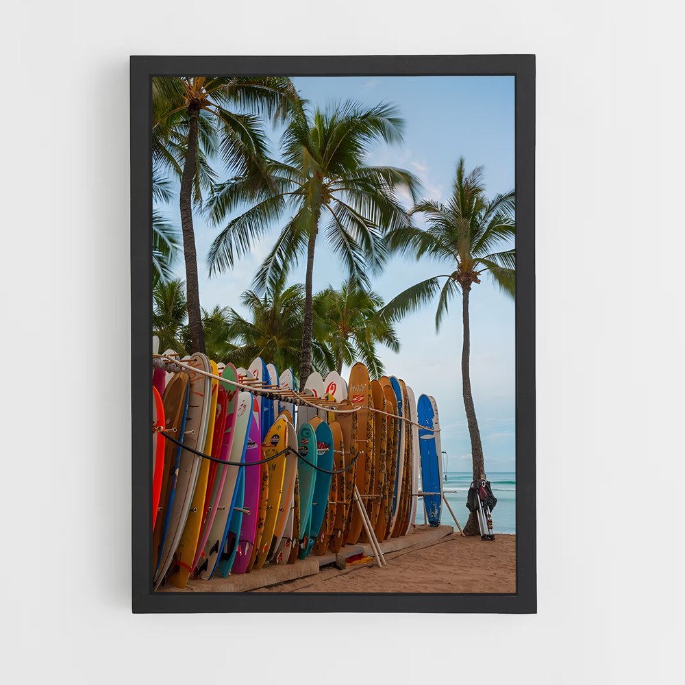 ap-hawaii beach-9 cadre Noir