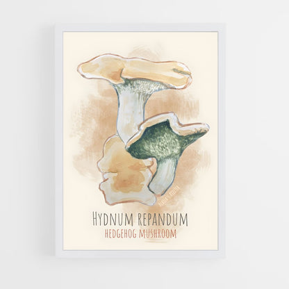 ap-hedgehog mushroom-3 cadre Blanc