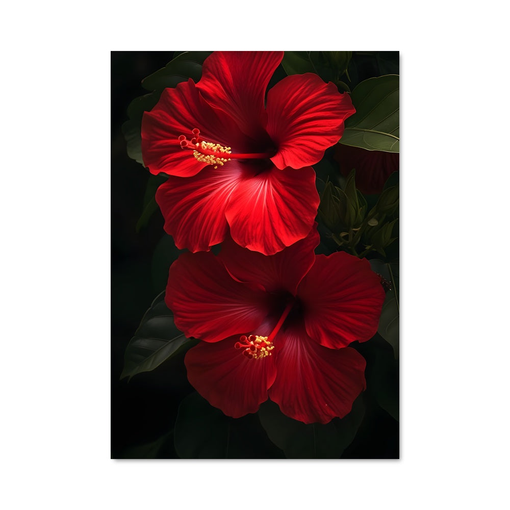 Poster Hibiscus Passion