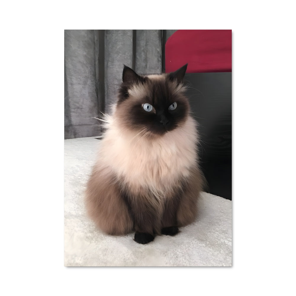 Poster Douceur Floconneuse