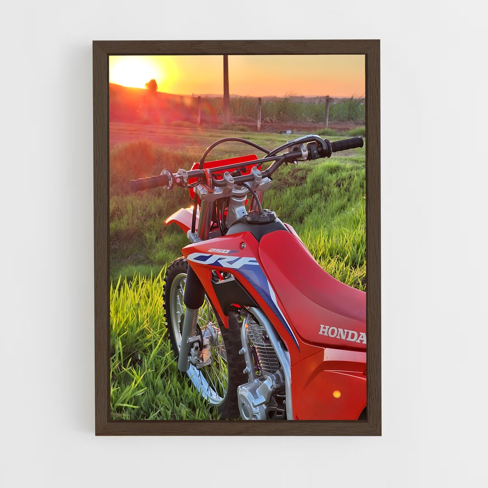 ap-honda crf250r-6 cadre Bois foncé
