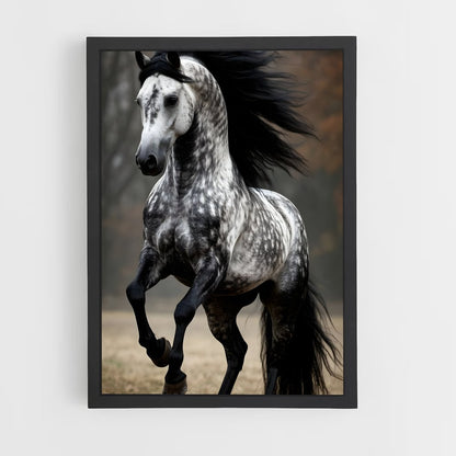 ap-horse-10 cadre Noir