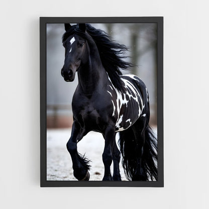 ap-horse-16 cadre Noir