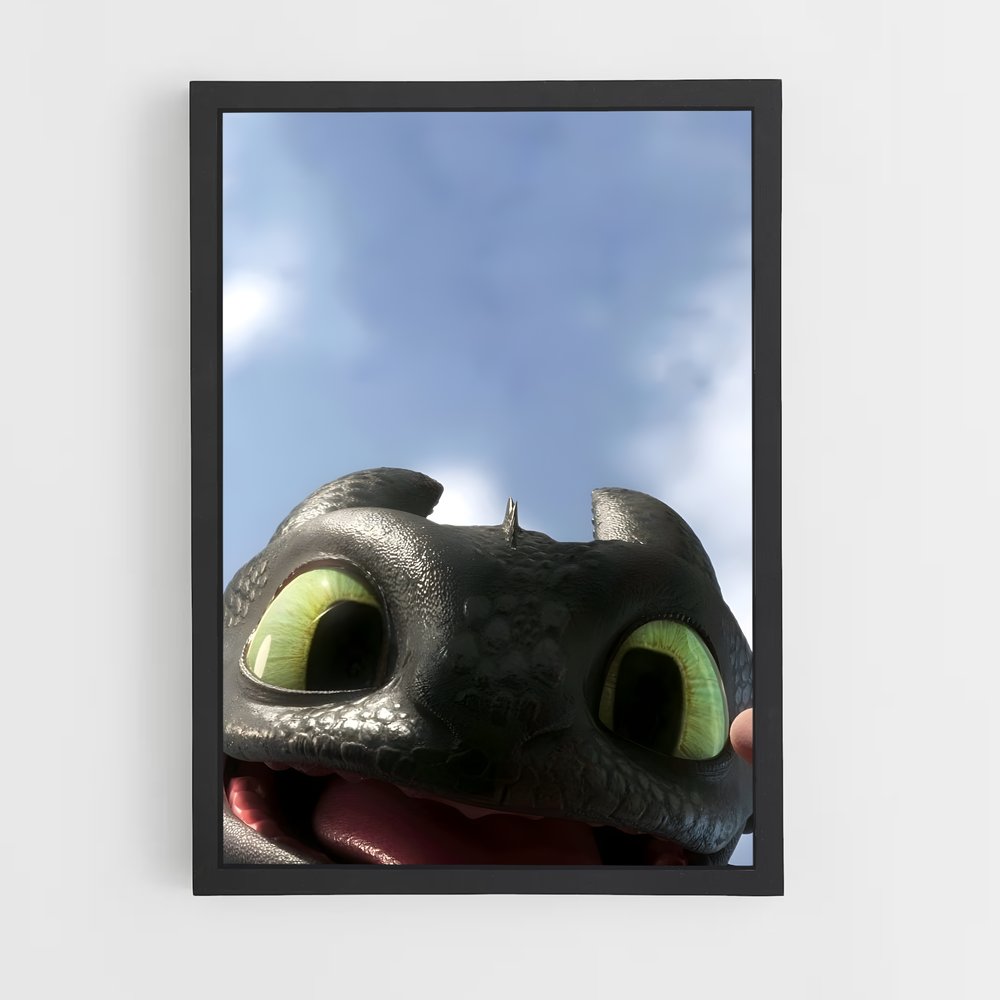 ap-how to train your dragon-1 cadre Noir