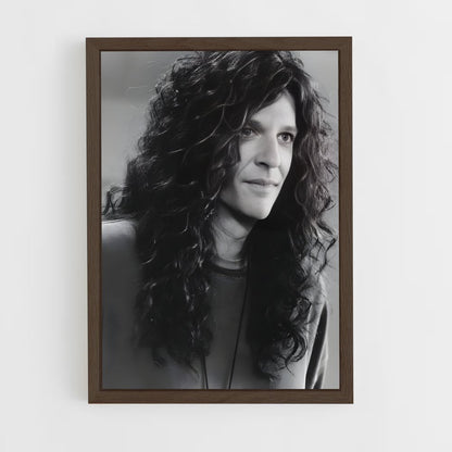 ap-howard stern-1 cadre Bois foncé