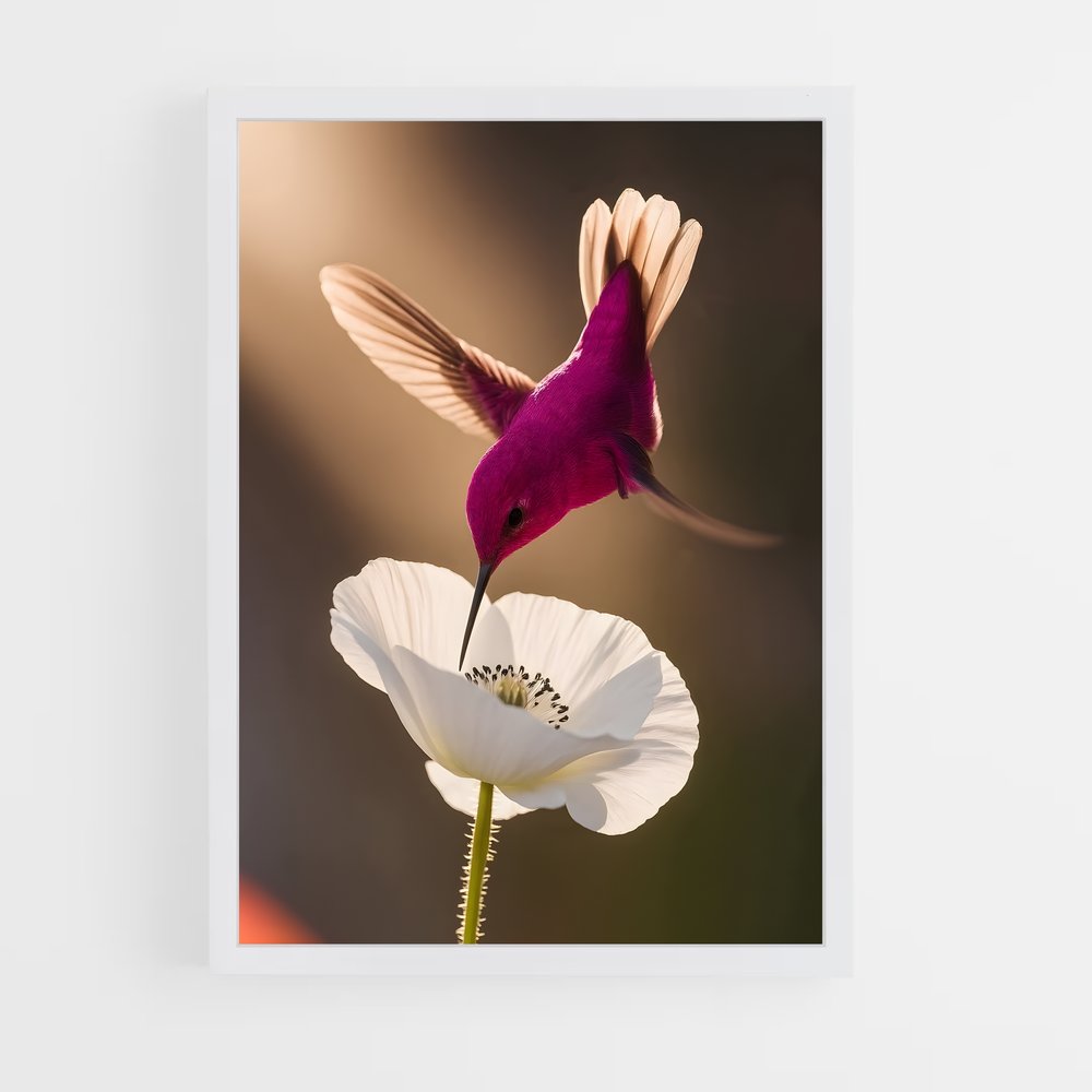 ap-hummingbird-1 cadre Blanc