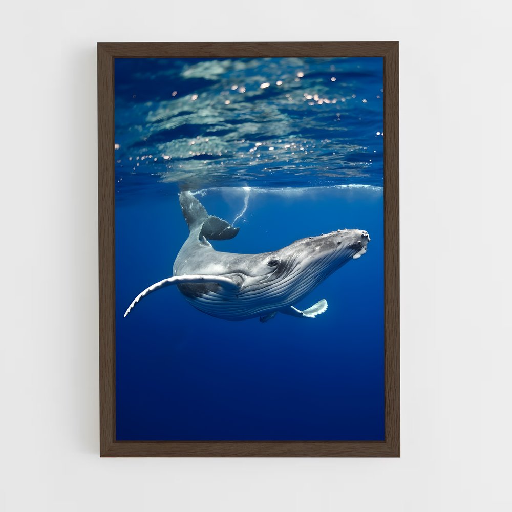 ap-humpback whale-1 cadre Bois foncé