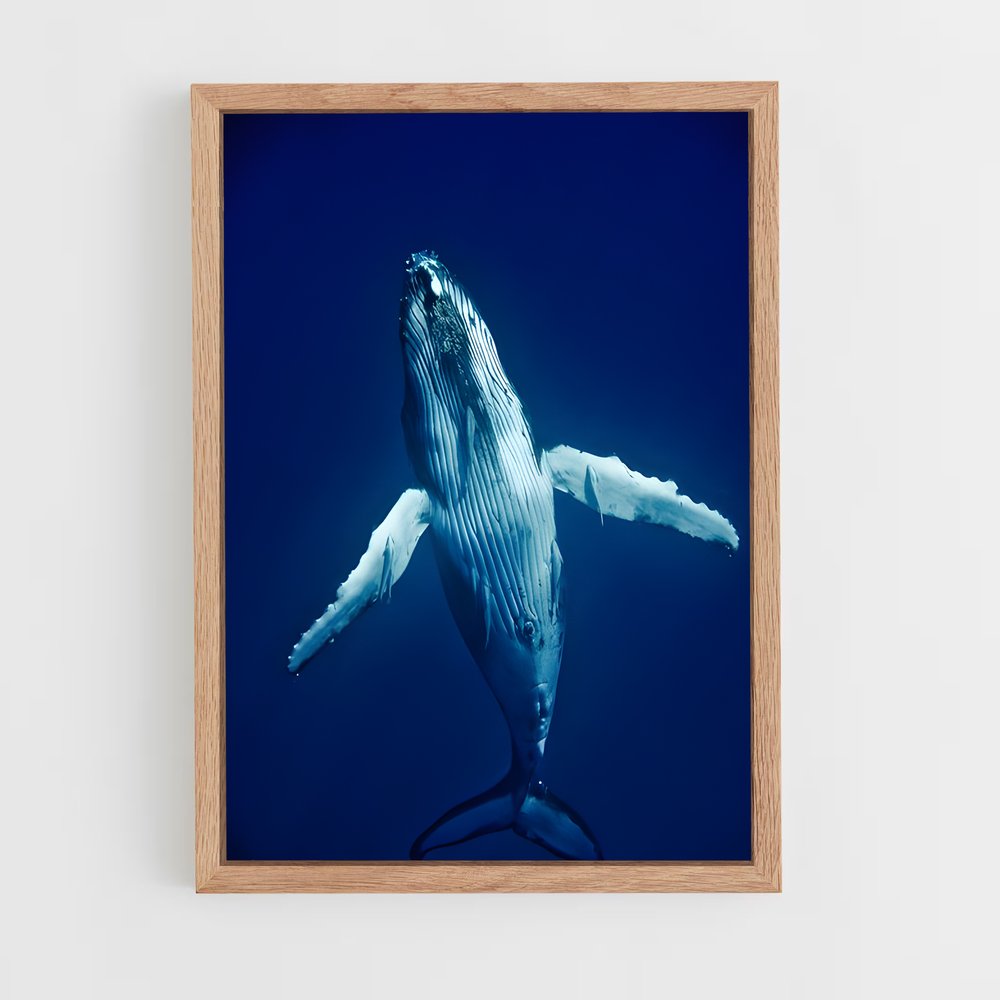ap-humpback whale-5 cadre Bois clair
