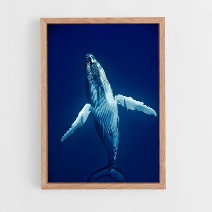 ap-humpback whale-5 cadre Bois clair