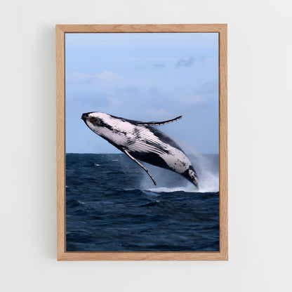 ap-humpback whale-7 cadre Bois clair