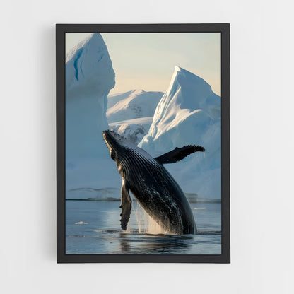 ap-humpback whale-8 cadre Noir