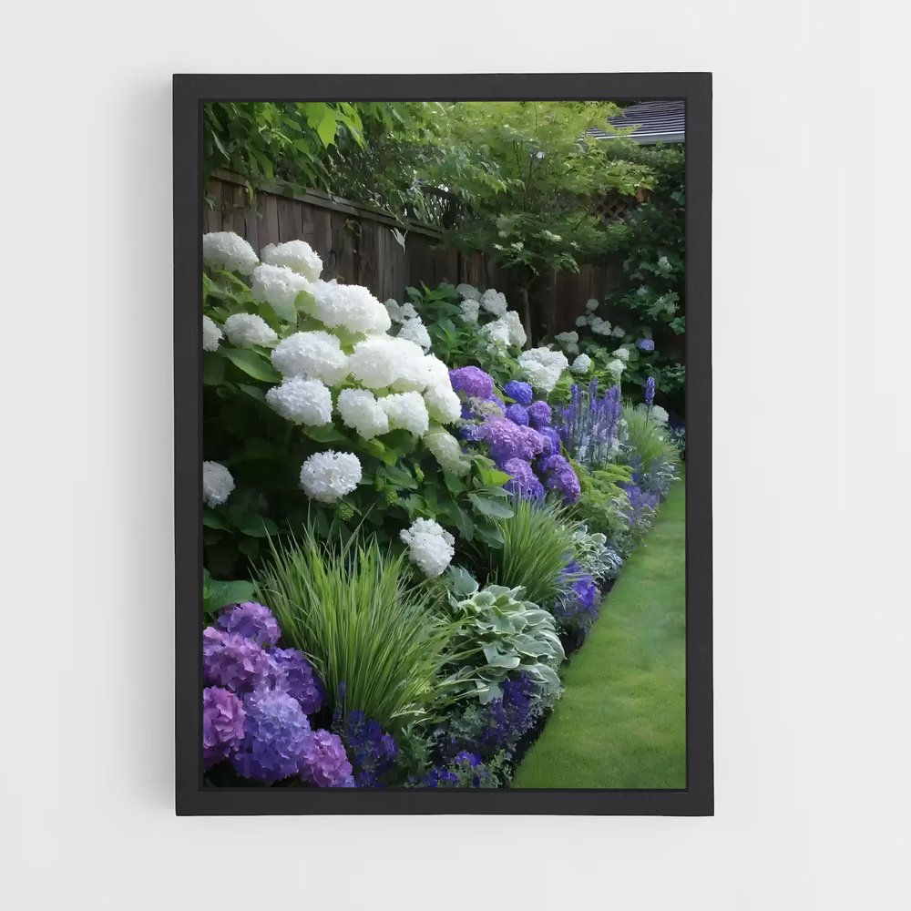 ap-hydrangea-10 cadre Noir