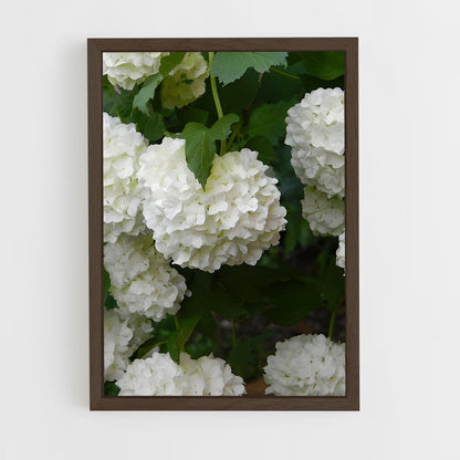 ap-hydrangea-11 cadre Bois foncé