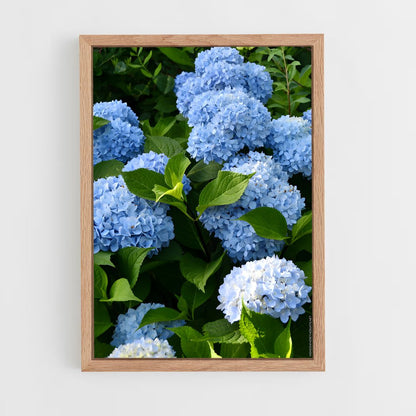 ap-hydrangea-4 cadre Bois clair
