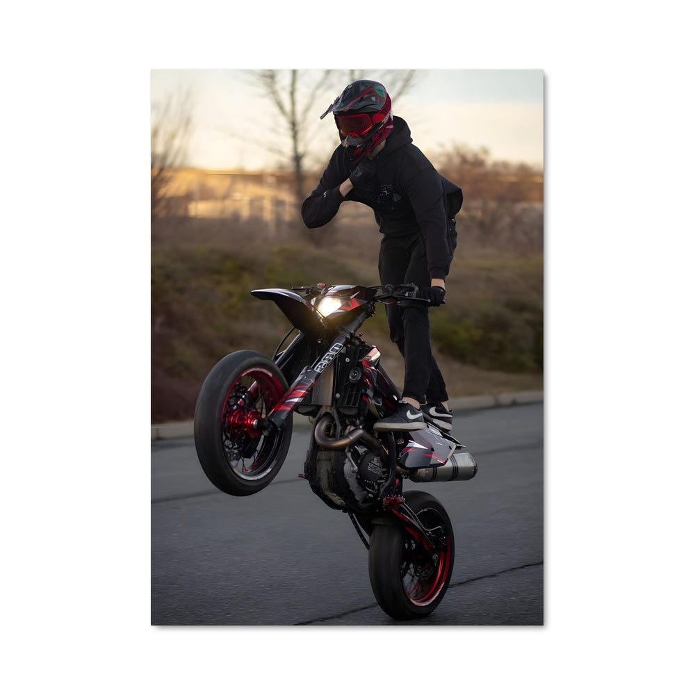 Poster Tricks de Maître