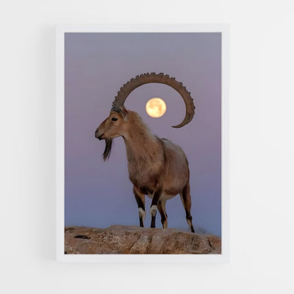 ap-ibex-1 cadre Blanc