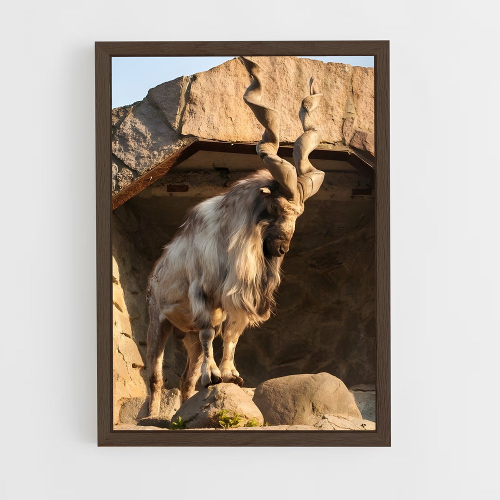 ap-ibex-7 cadre Bois foncé