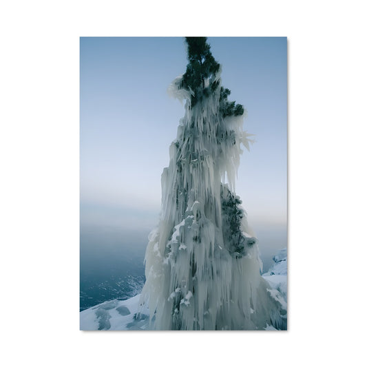 Poster Arbre Cristallisé