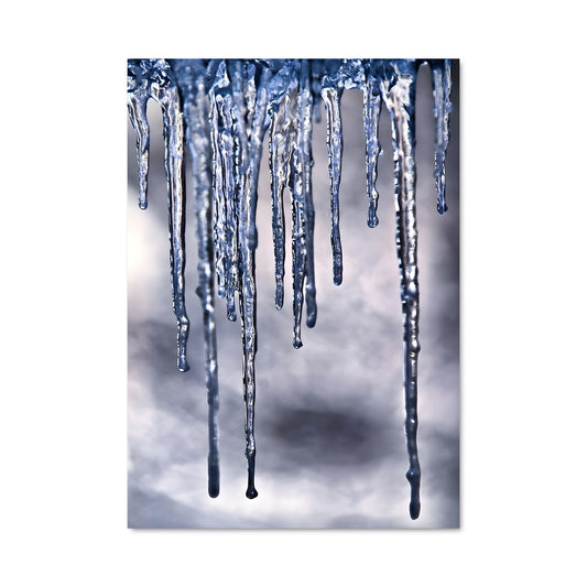 Poster Givre Suspendu