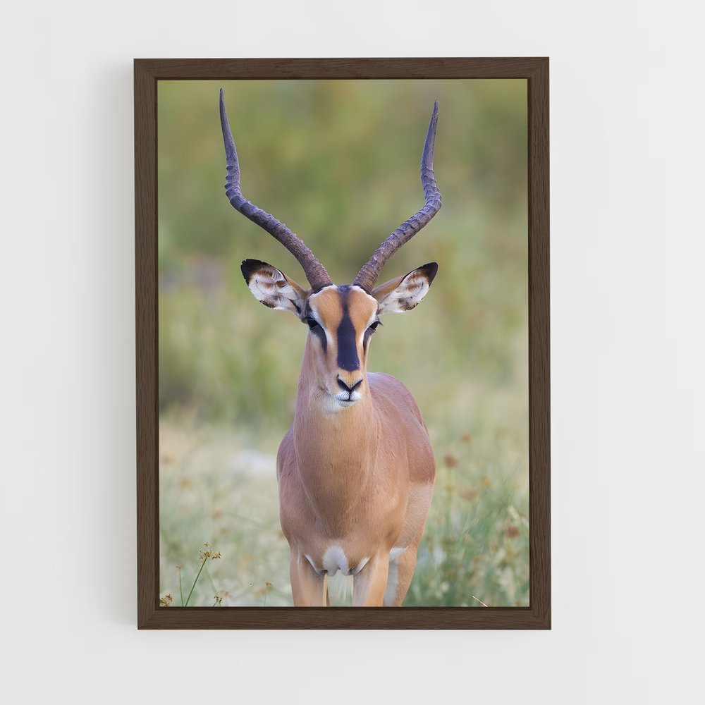 ap-impala-8 cadre Bois foncé