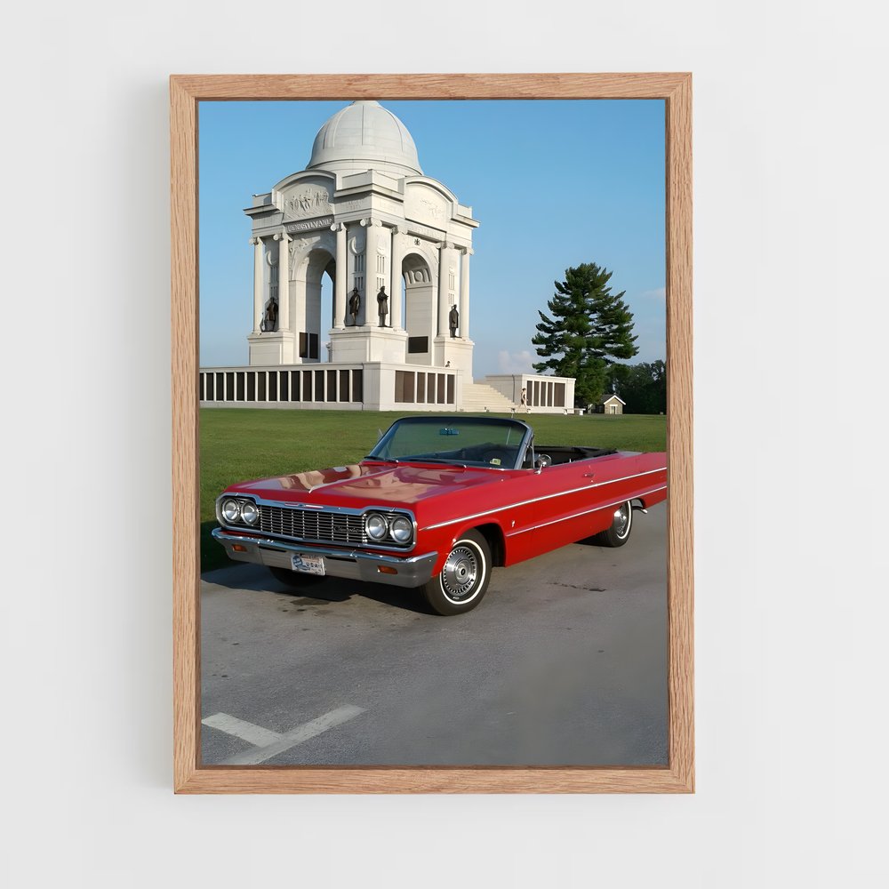 ap-impala 250-1 cadre Bois clair