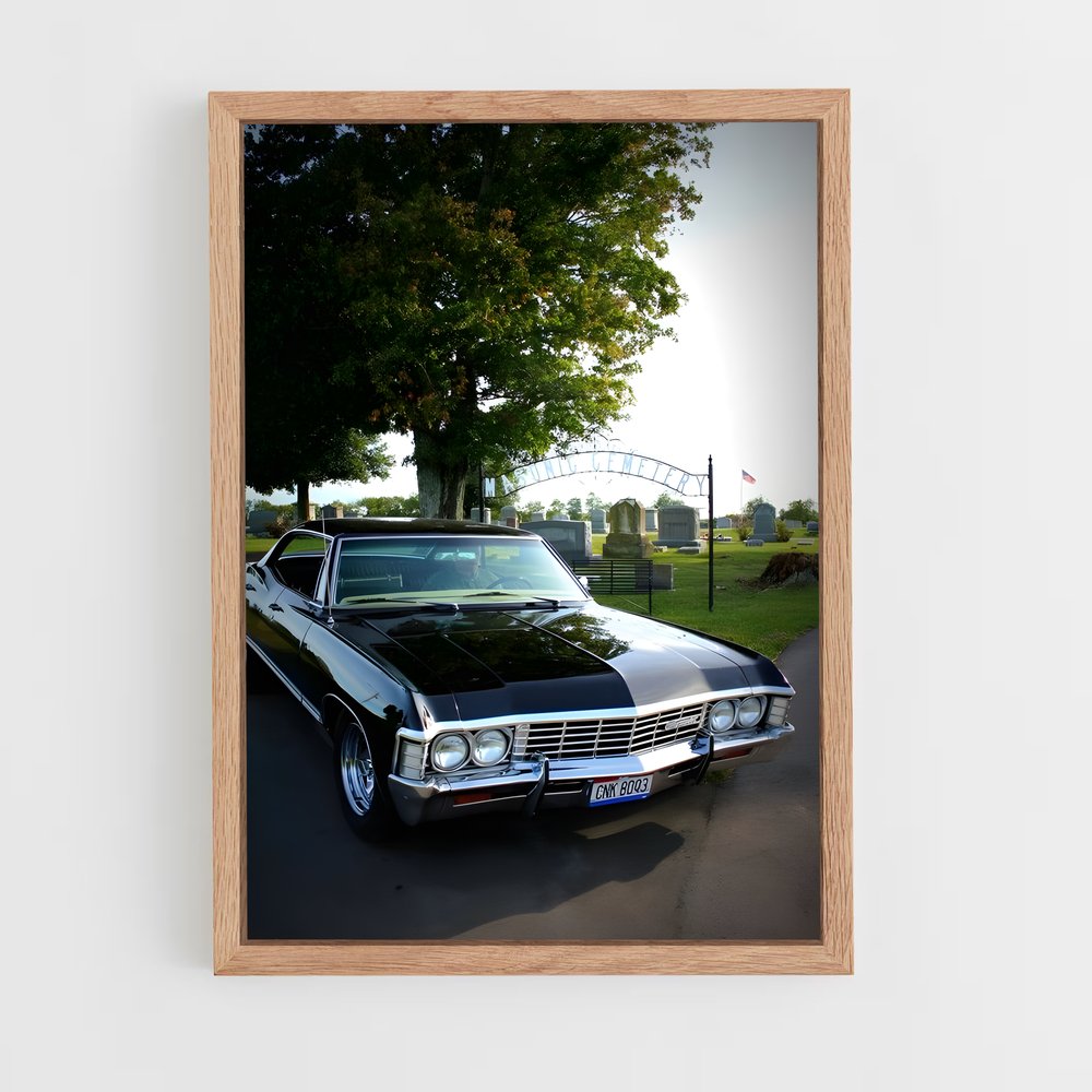 ap-impala 250-2 cadre Bois clair