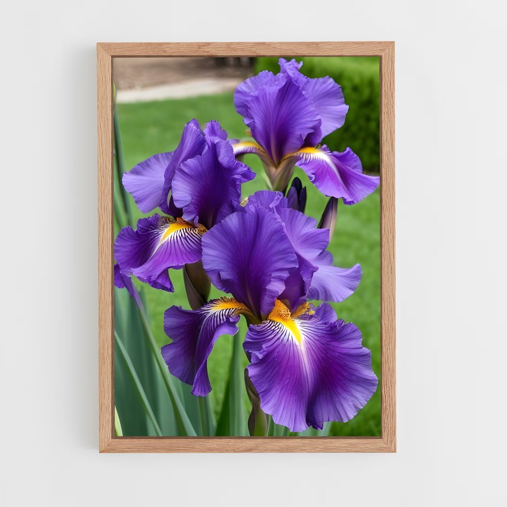 ap-iris-4 cadre Bois clair