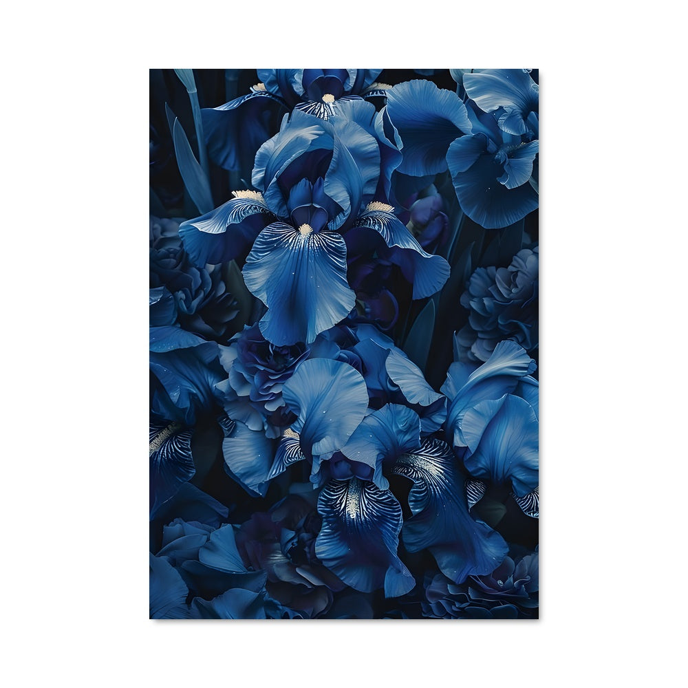 Poster Iris Enchanté