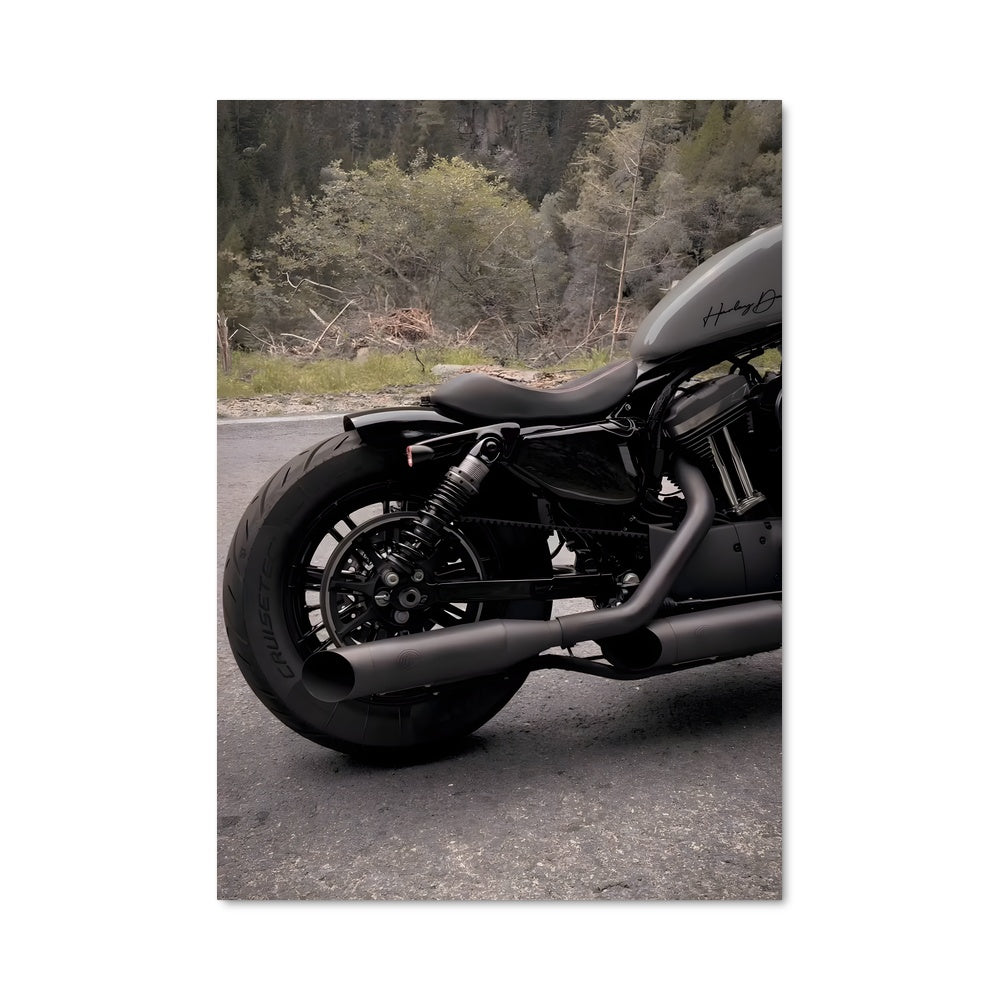 Poster Iron 883 82198