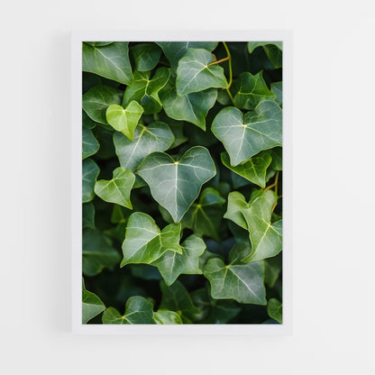ap-ivy-2 cadre Blanc