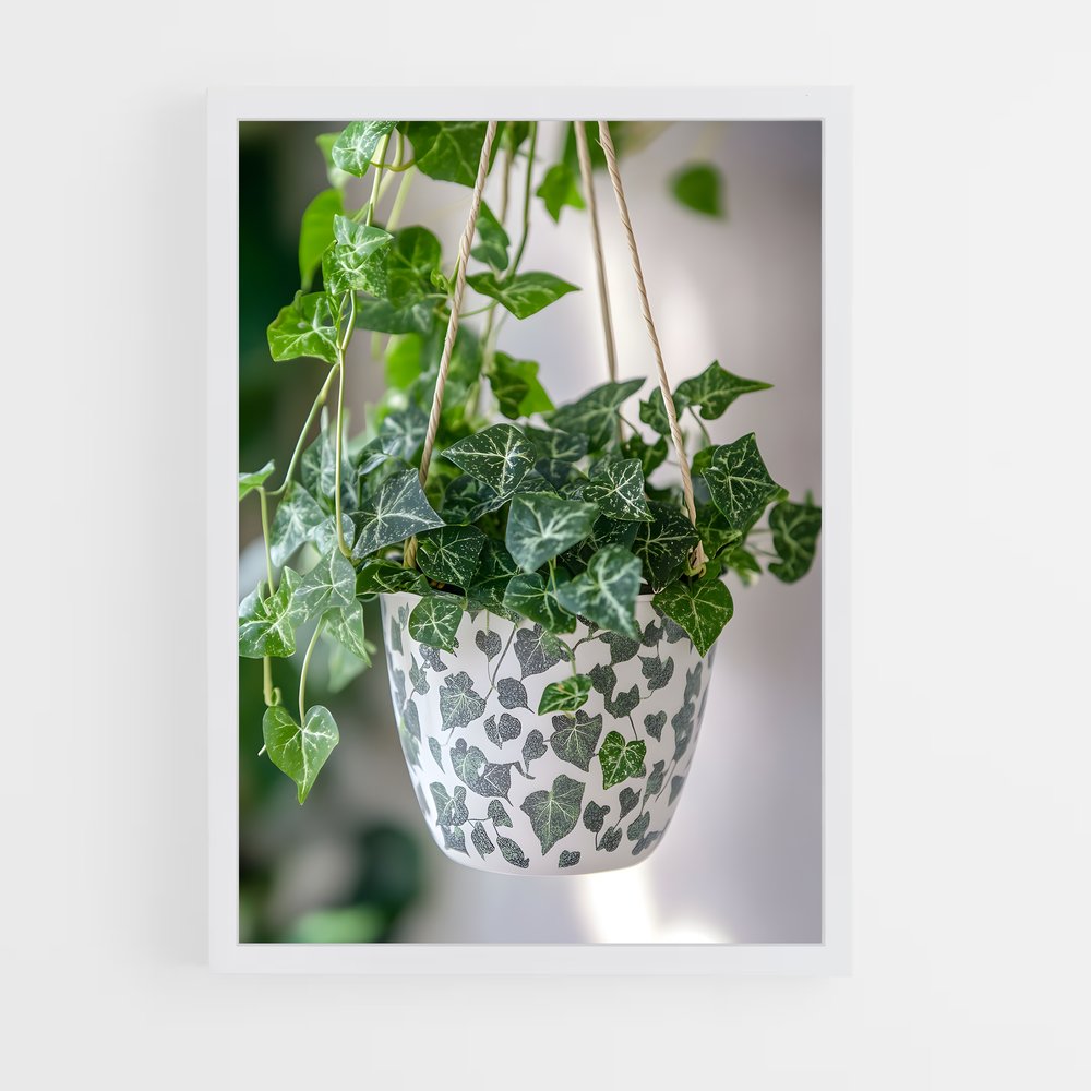 ap-ivy-5 cadre Blanc