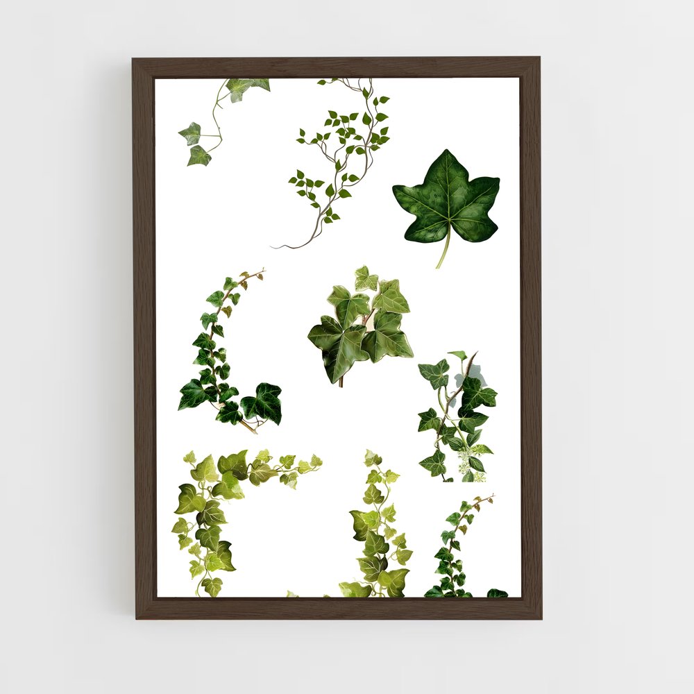 ap-ivy-7 cadre Bois foncé