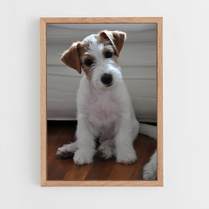 ap-jack russell terrier-1 cadre Bois clair