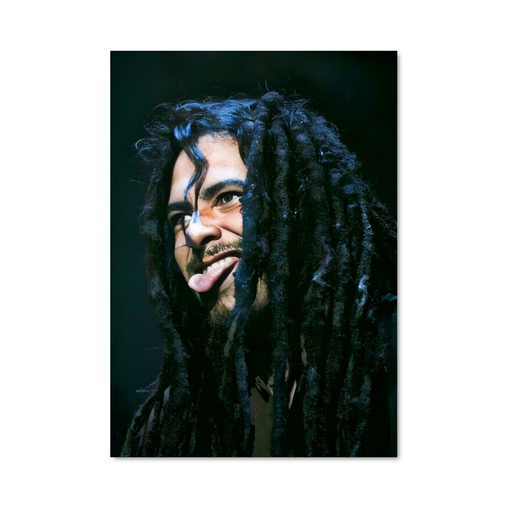 Poster Dreadlocks Vibes